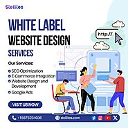 Scale Your Business with Professional White Label Website Design Services