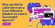 Why White Label Services Are a Smart, Cost-Effective Choice for Growing Agencies