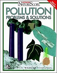 Pollution : problems & solutions