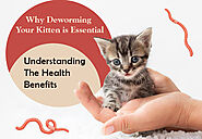 Why Deworming Your Kitten is Essential: Understanding the Health Benefits