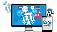 Custom WordPress Development Services | WordPress Developer