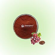 Grape Seed Extract Powder 95% Oligomeric Proanthocyanidins - Dietary Ingredients Supplier Canada | Green Jeeva