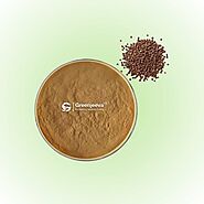 Grains of Paradise Extract Powder 12.5% 6-Paradol, HPLC - Dietary Ingredients Supplier Canada | Green Jeeva