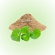 Gotu Kola Extract Powder 4:1 - Dietary Ingredients Supplier Canada | Green Jeeva