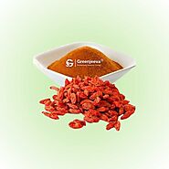 Goji Berry Extract Powder 4:1 - Dietary Ingredients Supplier Canada | Green Jeeva