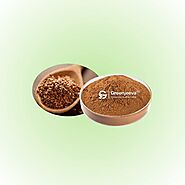 Flax Seed Extract Powder 10% Lignan, HPLC - Dietary Ingredients Supplier Canada | Green Jeeva