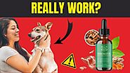 Avante Afiliados on LinkedIn: Pawbiotix Reviews: The Honest Truth about Pawbiotix Dog Supplement (⛔Must…