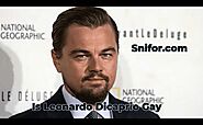 Is Leonardo Dicaprio Gay? 2024 Best Leonardo Sexuality Info