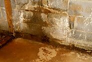 Hawk Crawl Space & Foundation Repair: Reliable Basement Leak Repairs