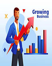 Business Growth Consultant - Ratish Pandey’s Expert Advice