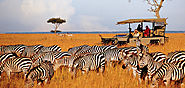 Enjoy Your Holiday's In Africa with Wildlife Kenya Safaris﻿