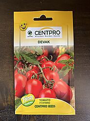 Buy Tomato Hybrid Vegetable Seeds – Beejkart