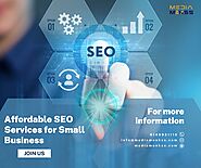 Website at https://mediamonkss.com/seo-services-for-small-business/