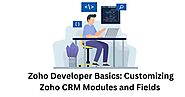 Zoho Developer Basics: Customizing Zoho CRM Modules and Fields