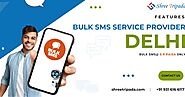 Features of Bulk SMS Service Provider in Delhi by Shree Tripada