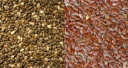 Flax vs. Chia - Super Seed Showdown