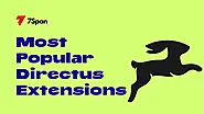 Most Popular Directus Extensions