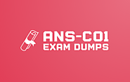 Ace Your Certification with ANS-C01 Exam Dumps from DumpsBoss