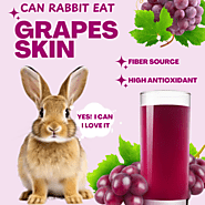 Can Rabbits Eat Grapes (Leaves, Seeds & Skin)? Complete Guide