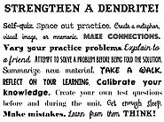 Strengthen A Dendrite!