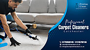 Choosing Professional Carpet Cleaners for Dirt and Stain Removal