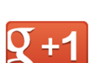 Google +1 Button