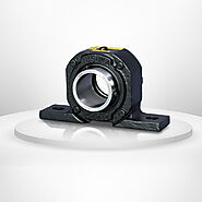 Leading Plummer Block supplier in Ahmedabad, India