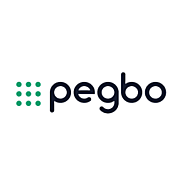 Establish Best Supplier Diversity Program With Pegbo.