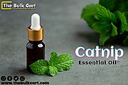 Wholesale Catnip Essential Oil 🌿 | Affordable Bulk Supply from The Bulk Cart