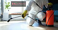 Expert Pest Control Services in Perth for a Pest-Free Life