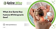 What Are Some Key Features Of Chiropractic Care?