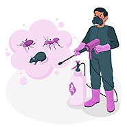 Expert Cockroach Control Perth | Pest Treatment Service