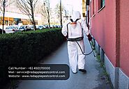 Best Pest Control in Perth | Schedule Your Services