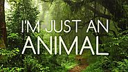 STOLAR - "Just An Animal" (Lyric Video)