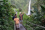 Best Volcanoes National Park Safari: Adventure Awaits in Hawaii – The Kanini Estate