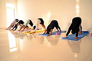 Best Yoga Teacher Training School in Rishikesh