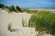 Le Touquet (Plage du Touquet-Paris-Plage)