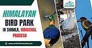 Himalayan Bird Park in Shimla, Himachal Pradesh