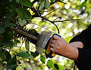 Is a 20V battery sufficient for a hedge trimmer?