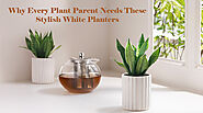 WHY EVERY PLANT PARENT NEEDS THESE STYLISH WHITE PLANTERS – Claymistry