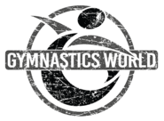 Adult Gymnastics Classes at All Levels