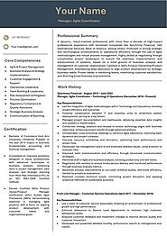 Agile project Manager resume sample