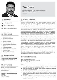 IT Sales Specialist resume example