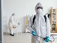 Pest Control Ahmedabad Provide Bed Bug & Termite Treatment