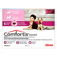 Comfortis for Cats