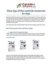 Three type of flies and ticks treatments for dogs