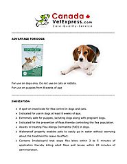 Advantage for dogs - The fleas and ticks medication