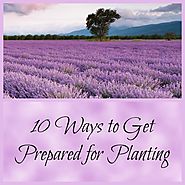 Ten Ways To Get Prepared For Planting