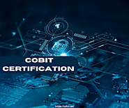 “How COBIT Certification Helps Improve IT Risk Management?”