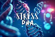 Can Stress Really Change Your DNA? The Astonishing Details - Life is Positive